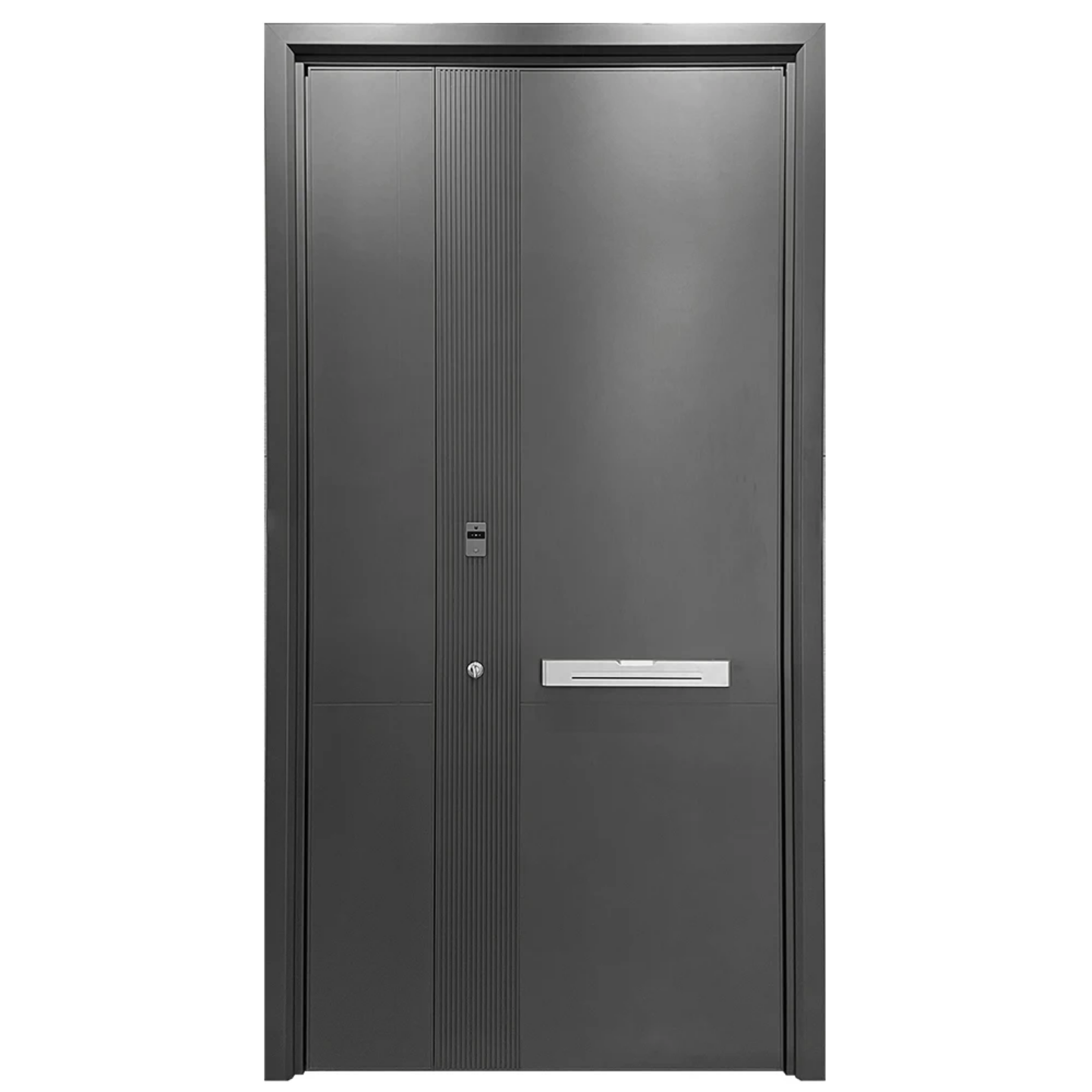 Exterior Security Door